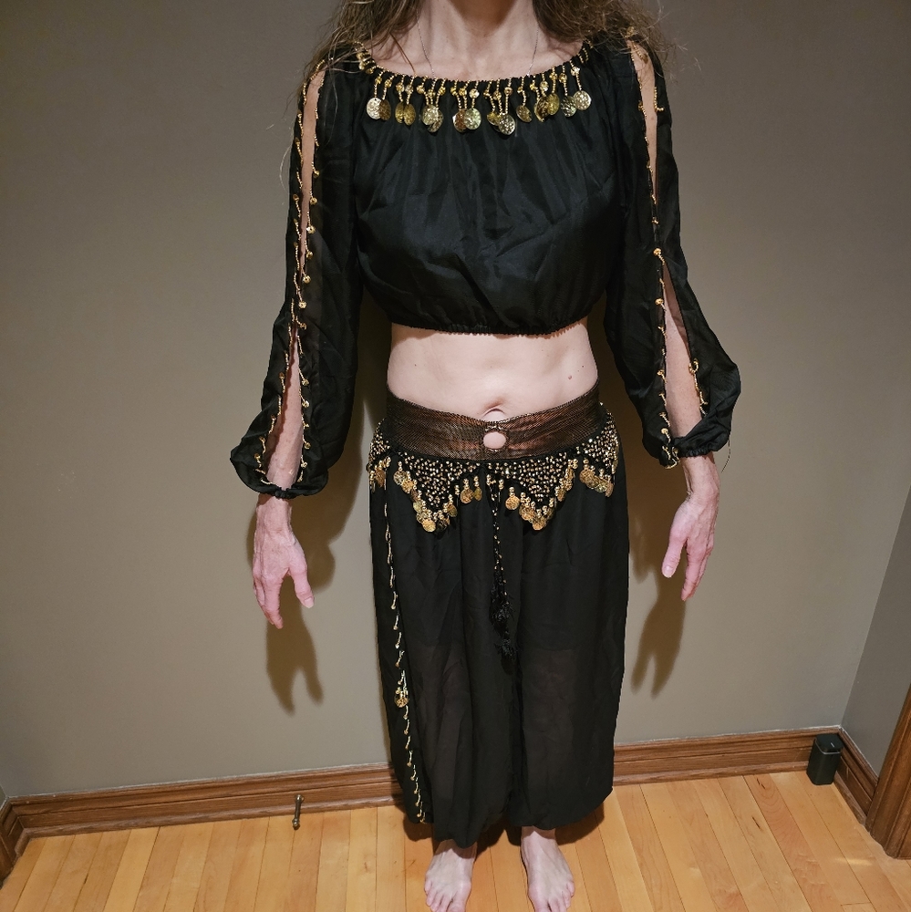 Belly Dancer or Genie Costume